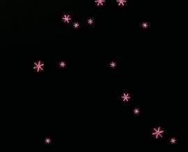 425×345