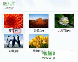 Win7系统如何显示已知文件类型的扩展名